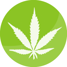 strains-medical-marijuana-licensed-producers